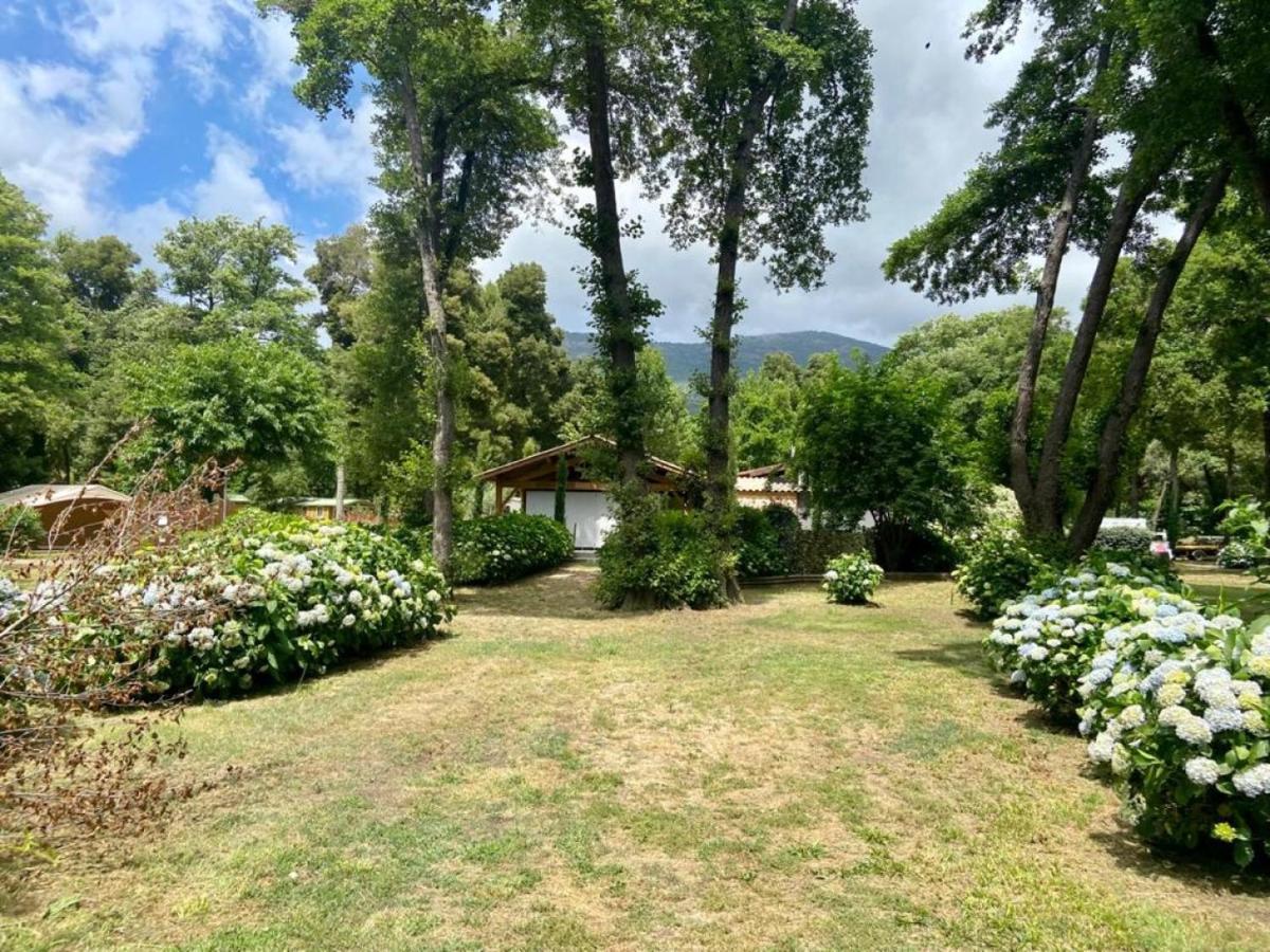 Camping Le Sagone Sagone  Bagian luar foto