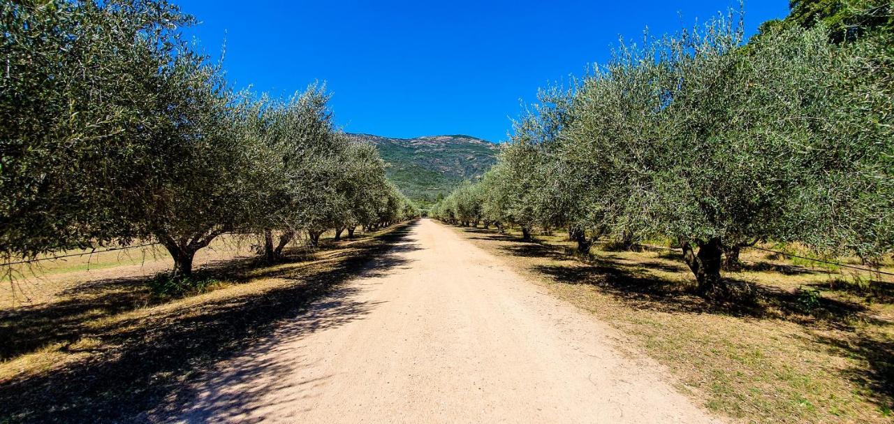 Camping Le Sagone Sagone  Bagian luar foto